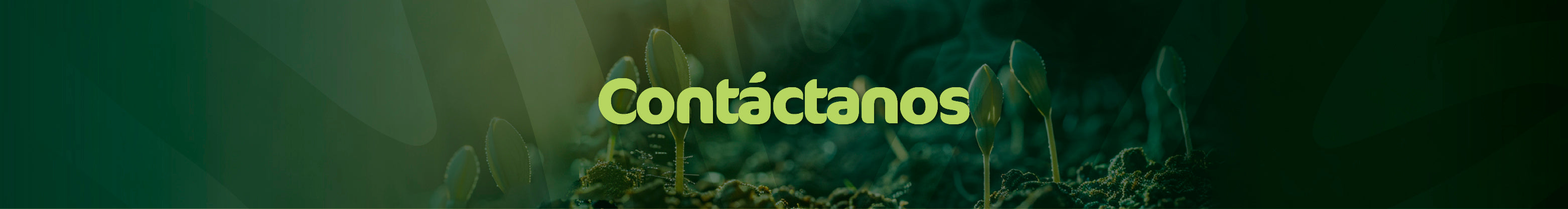 Página de contacto de Living Foods para atención y soporte