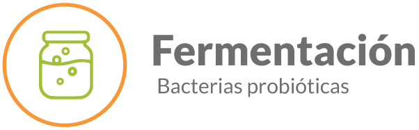 Fermentación con bacterias probióticas que favorecen la salud digestiva
