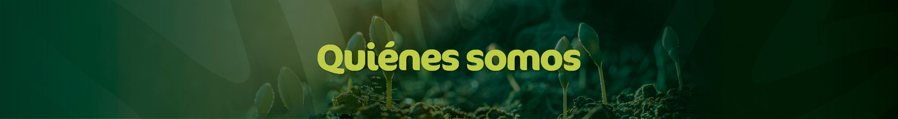 Quiénes Somos Living Foods marca de superalimentos y nutrición vegetal