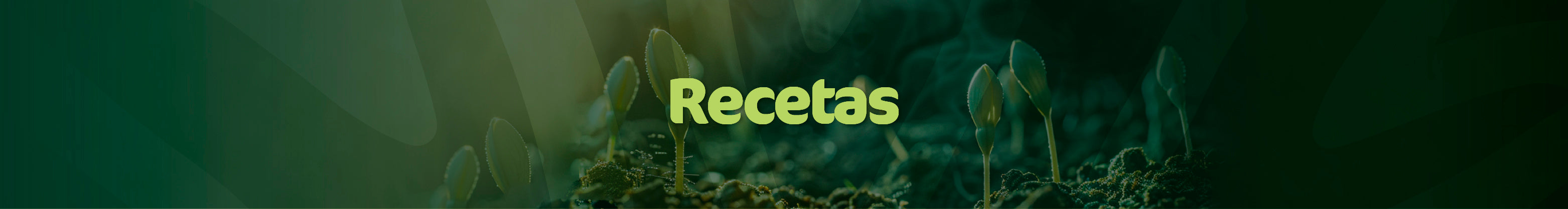 Recetas saludables preparadas con superalimentos Living Foods