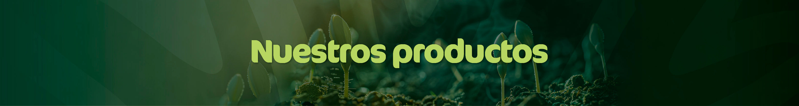 Tienda de superalimentos y proteínas vegetales Living Foods